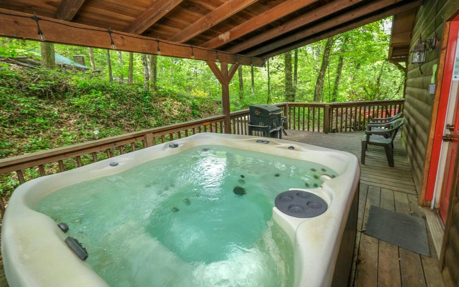 Big Bear Retreat Villa